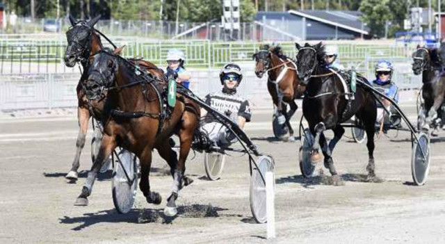 Kevin Svedlund ny A-tränare på Gävletravet.